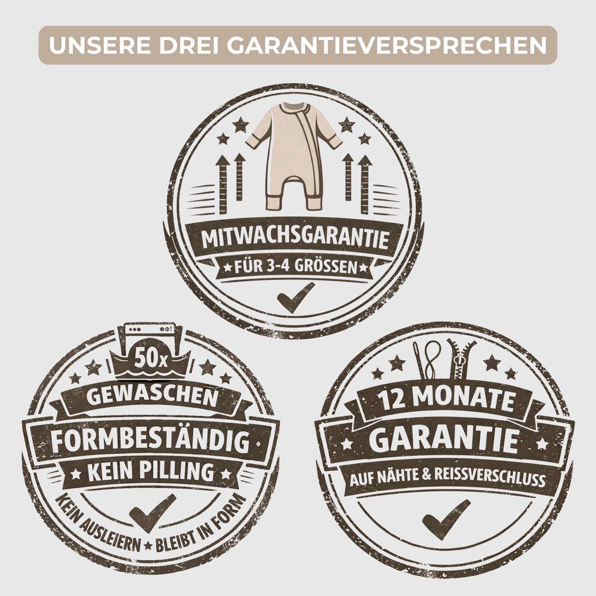 promessa di garanzia